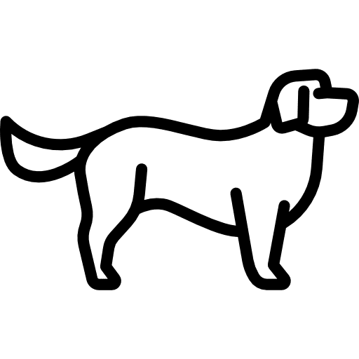 Bichon breed dog mammal icon