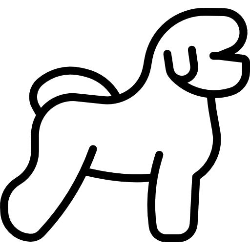 Bichon frise mammal animals breed icon