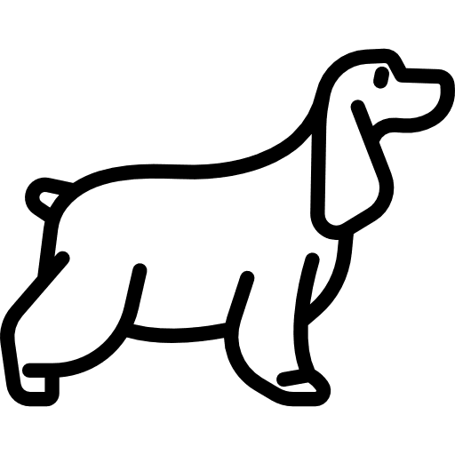 English cocker spaniel animal breed dog icon