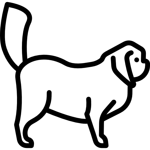 Japanese chin animals dog animal icon