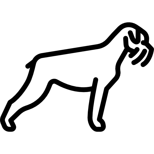 Miniature schnauzer dog mammal breed icon