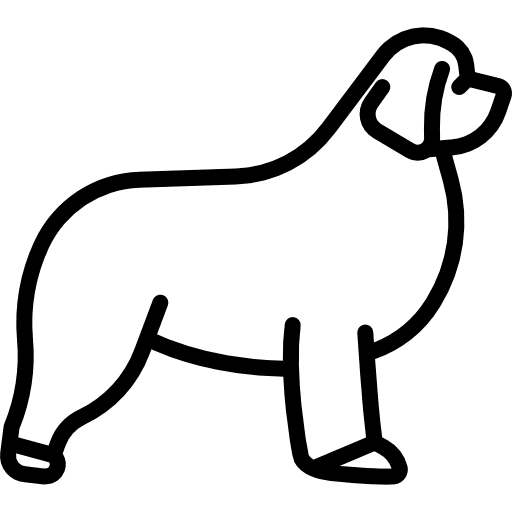 Newfoundland dog mammal animal icon
