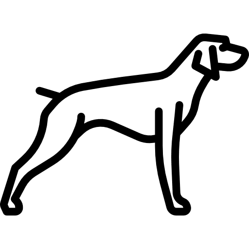 Pointer mammal dog animals icon