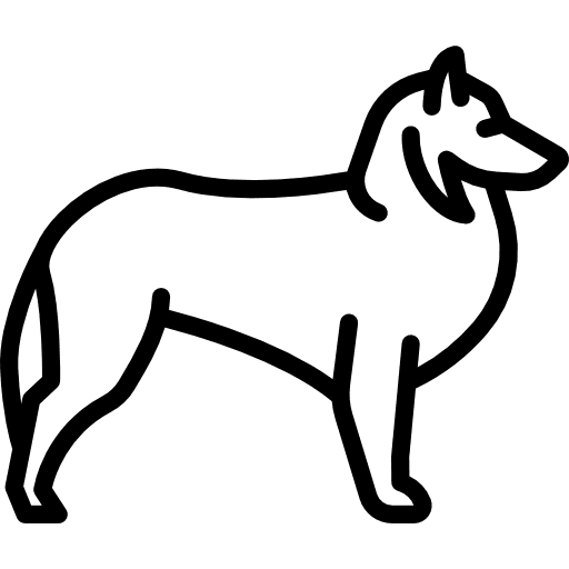 Sheltie pet animals mammal icon