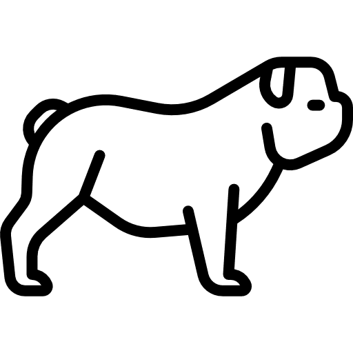 Bulldog pet dog animal icon