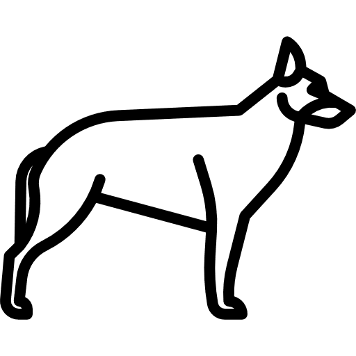 German sheperd breed dog animal icon