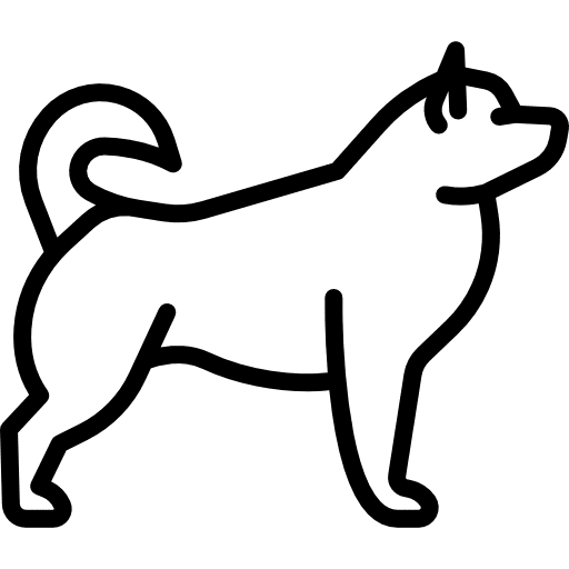 Malamute mammal animals pet icon