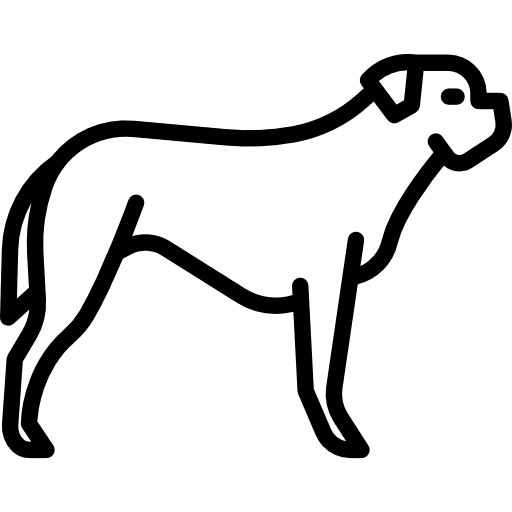Mastiff animal breed animals icon