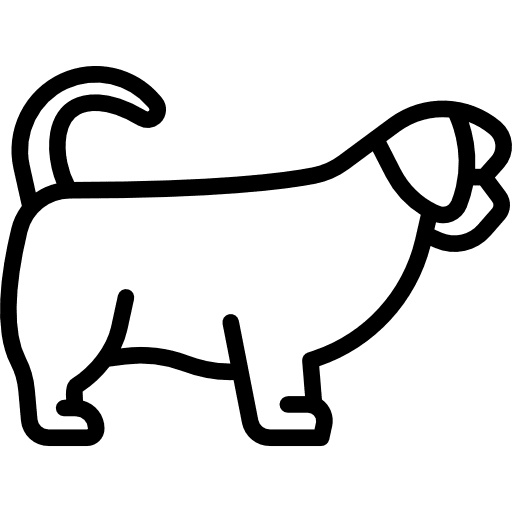 Shih tzu pet mammal dog icon