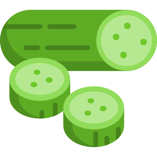 Cucumber healthy food organic vegetarian icon