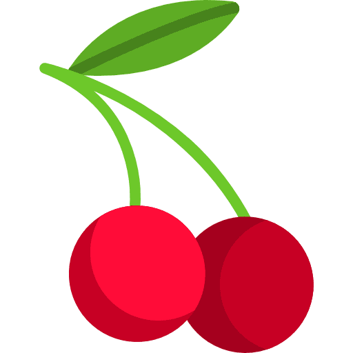 Cherry healthy food food vegetarian icon