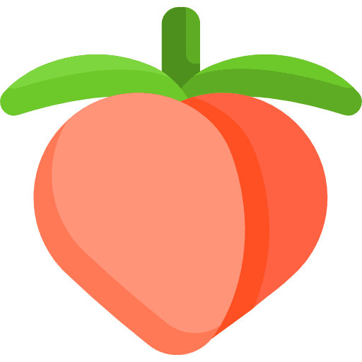 Peach fruit vegetarian organic icon