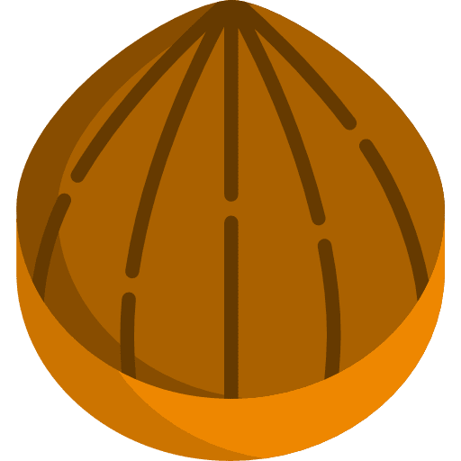 Chestnut botanical autumn fall icon