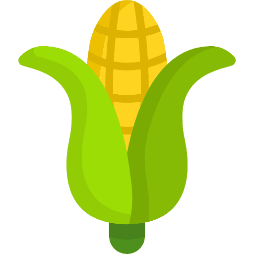 Corn healthy food diet vegetarian icon