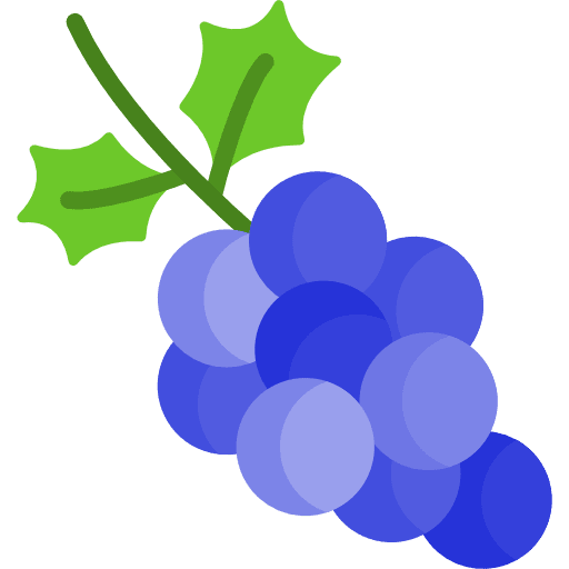 Grapes diet vegetarian organic icon