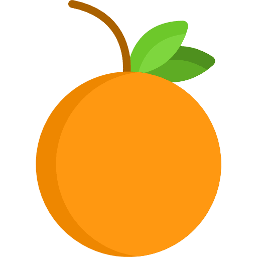 Orange healthy food orange diet icon