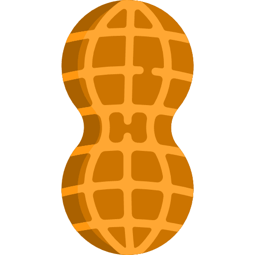 Peanut snack vegan nut icon