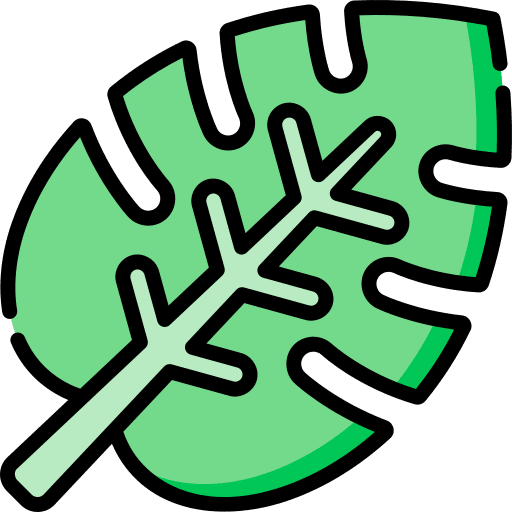 Jungle landscape palm leaf jungle icon