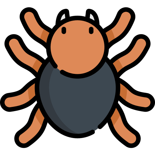 Tarantula insects insect animal icon