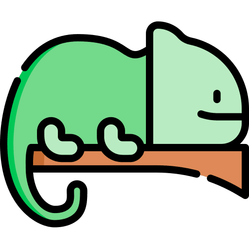 Chameleon animal chameleon wild life icon