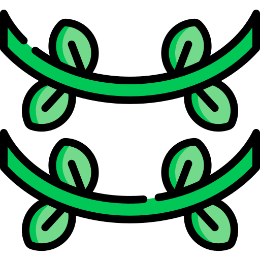 Vine leaves vine leaf icon