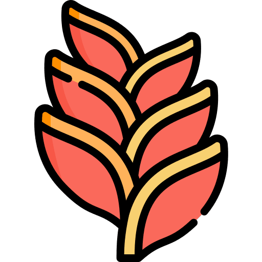 Heliconia plants bloom flowers icon