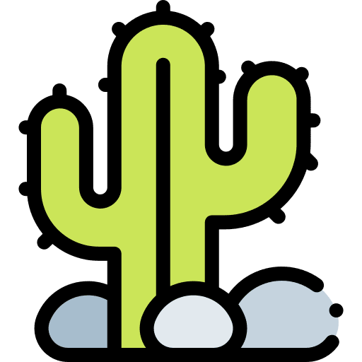 Cactus cactus nature desert icon