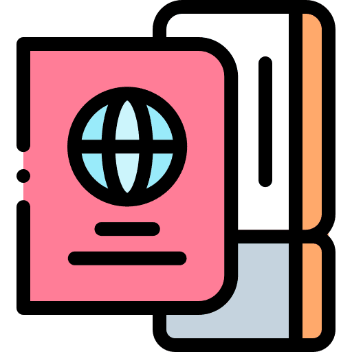Travel identity visa flight icon