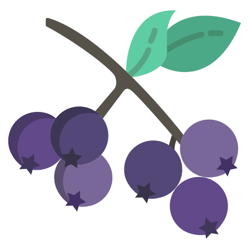 Berries food and restaurant berries vegan icon