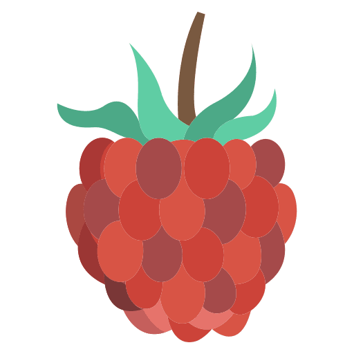 Raspberry vegan vegetable raspberry icon