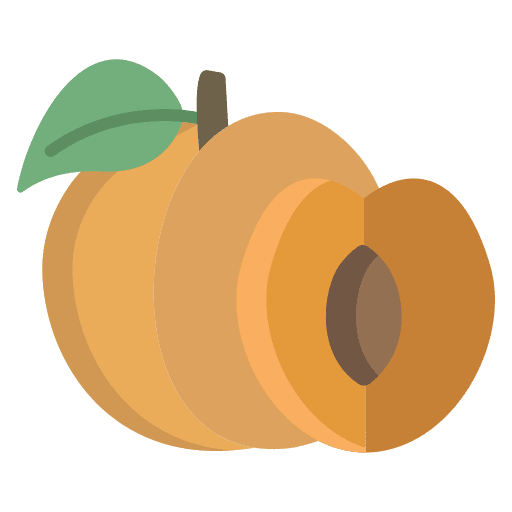 Apricot vegetarian vitamins apricot icon Apricot vegetarian vitamins apricot icon