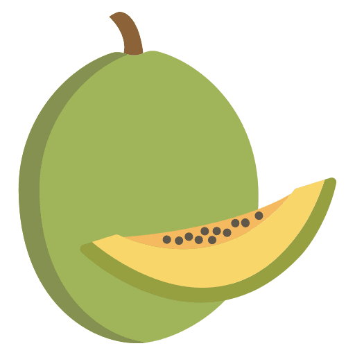 Cantaloupe fruit organic vegan icon Cantaloupe fruit organic vegan icon