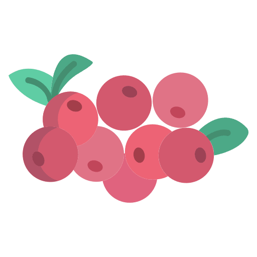 Cranberry fruits nature food and restaurant icon