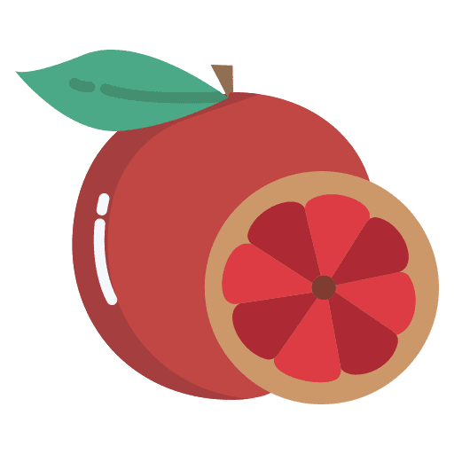 Grapefruit diet vegan grapefruit icon Grapefruit diet vegan grapefruit icon