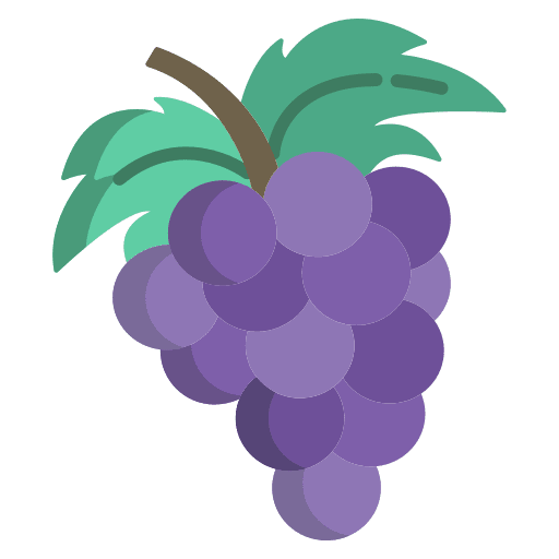 Grapes fruit organic grapes icon