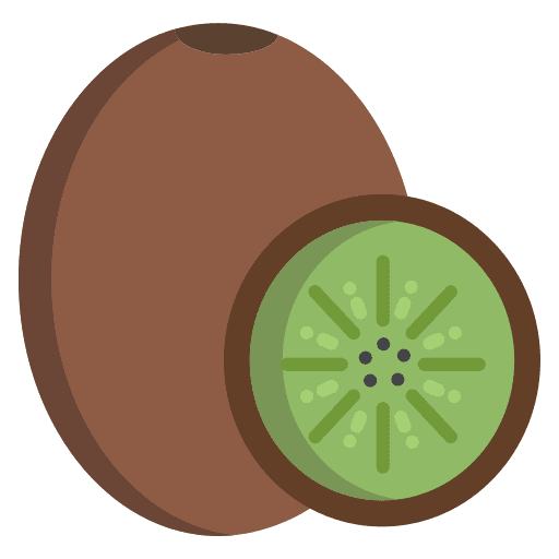 Kiwi vegetarian kiwi diet icon Kiwi vegetarian kiwi diet icon