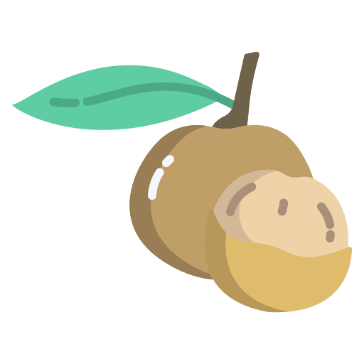 Longan organic tropical food and restaurant icon Longan organic tropical food and restaurant icon