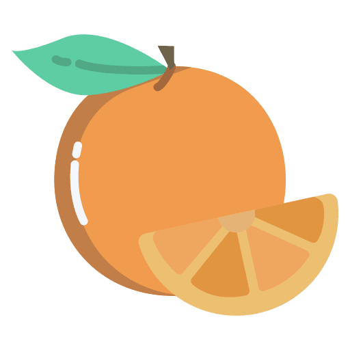 Orange fruit vegan diet icon Orange fruit vegan diet icon