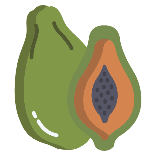 Papaya diet papaya healthy food icon Papaya diet papaya healthy food icon