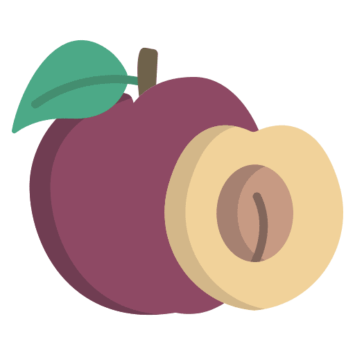 Plum plum fruit healthy food icon