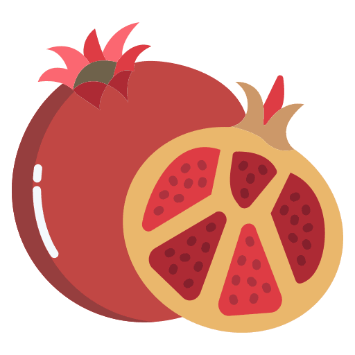Pomegranate vegetarian pomegranate fruit icon