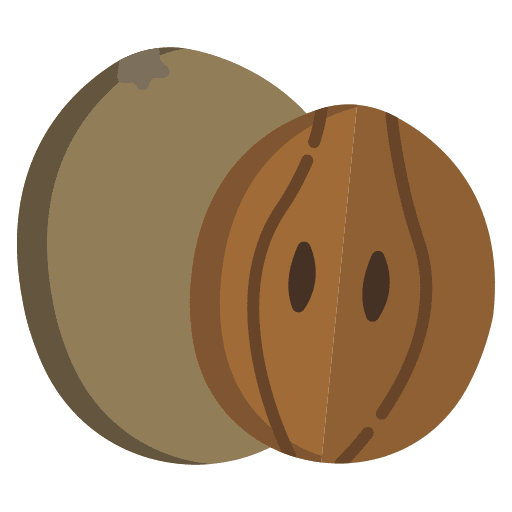 Sapodilla exotic food and restaurant tropical icon