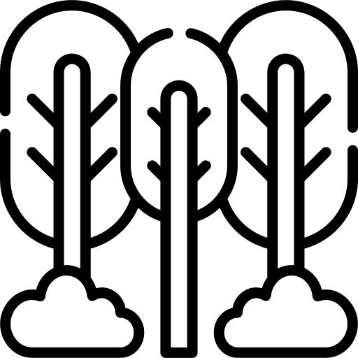 Forest landscape pines forest icon Forest landscape pines forest icon