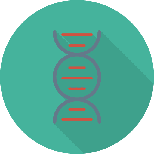 Dna science biology genetical icon