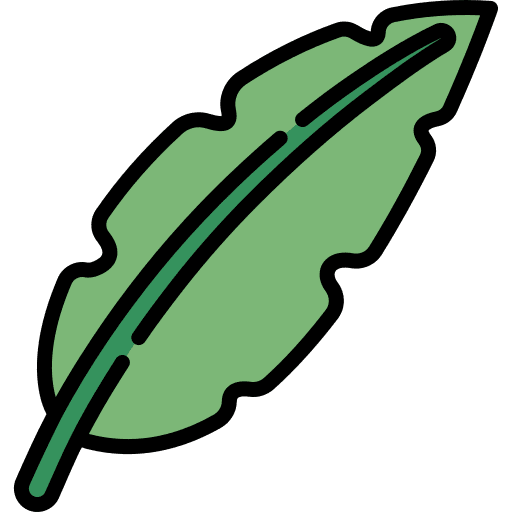 Palm exotic palm palm tree icon