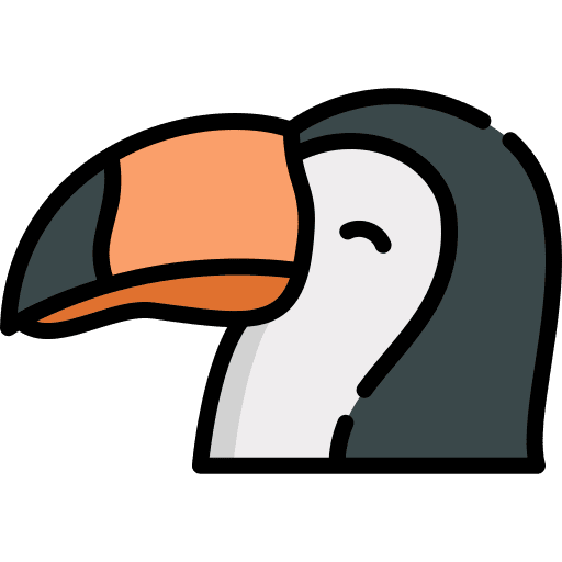 Toucan wild life bird animals icon