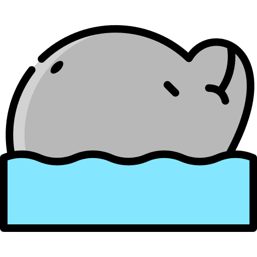 Dolphin animals animal kingdom aquarium icon Dolphin animals animal kingdom aquarium icon