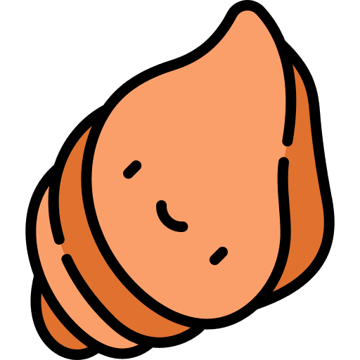 Shell animal aquarium animals icon Shell animal aquarium animals icon