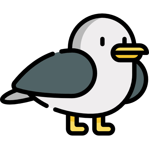 Seagull bird seagulls flight icon