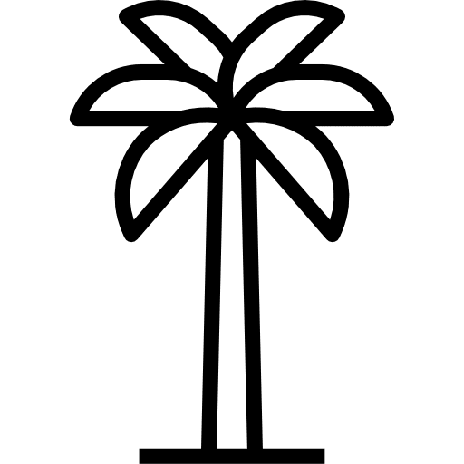 Palm tree beach tropical palm tree icon